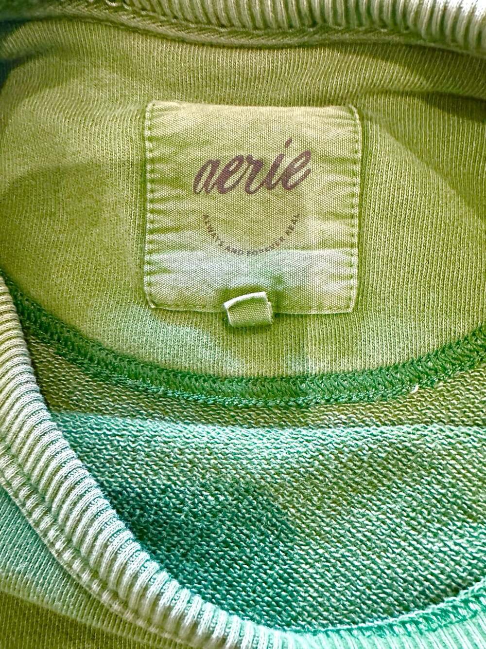 Aerie Distressed Crewneck Green Oversized sweatshirt Medium